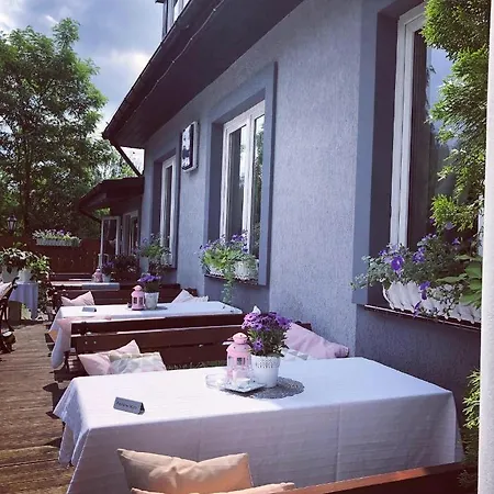 Gosciniec Pod Brzozami Mini-hôtel