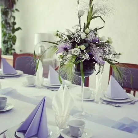 Gosciniec Pod Brzozami