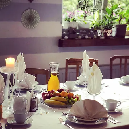 Gosciniec Pod Brzozami Мини-отель 3*