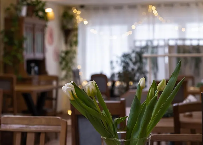 Gosciniec Pod Brzozami